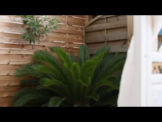 emelia paige - emelia paige strips nude from green lingerie [2018-07-24] [1080p] big tits